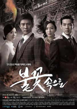 南岸区网站建设优化策划